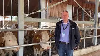 Betriebsreportage Demmel