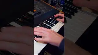 Oberheim Matrix-12 Analog Brass Superpower