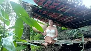 Building a Bamboo Dog House &ndash; Nora&rsquo;s Countryside Homestead & Simple Off-Grid Living