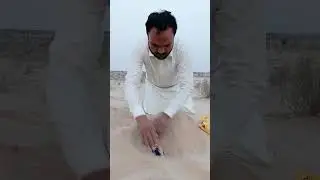Extracting Drink & Food In Desert 🏜️#survivaltips #lifehacks #outdoorskills #bushcraft #desertlife