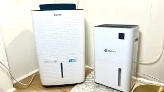 Best Dehumidifier for Basement? Pump vs No Pump!