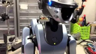 210 220 aibo repair ID treks0001