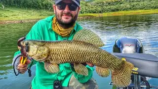 Cada arremesso um peixe - SALTO SANTIAGO - PESCARIA DE TRAIRA - CRAW SANTIAGO - MEGABASS FUSION