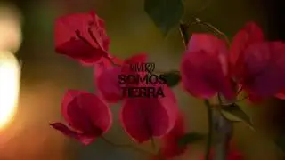 Spot Vivero 