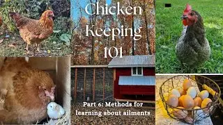 Methods for learning about chicken illness
