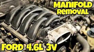 How-To: Intake Manifold 4.6L Ford V8
