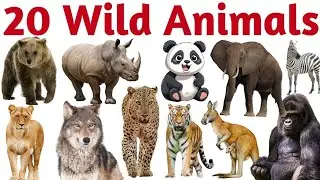 20 Wild Animals Names in English | Learn Wild & Jungle Animals for Kids | Animal Names with Pictures