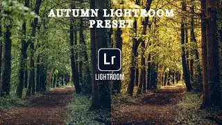 Create Autumn Vibes in Lightroom Mobile | Cinematic Fall Preset Tutorial | Lightroom Mobile Tutorial