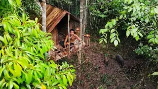 Building a Jungle Tree House and Living with Wild Boars | Primitive Life in the Forest