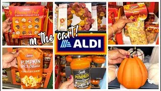ALDI FALL FINDS 2023 | ALDI SHOP WITH ME | ALDI HAUL