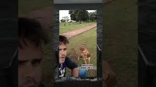 Crazy Man Barking like a Dog #short #youtubeshorts #youtube