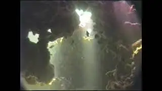#14 Abaco Bahamas, Feb 1994 32 15