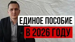 Новые правила на единое пособие в 2026 году