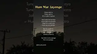 💔 Hum Mar Jayenge | Emotional Love Song Lyrics 🥀