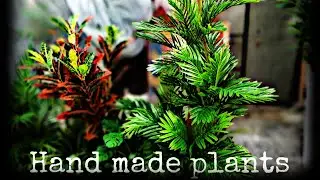 Best indoor plants/Best indoor plants for pakistan/ 16 Best indoor plants/ beautiful indoor plants.