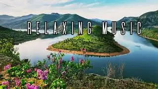 Beautiful Relaxing Music 🌿 Deep Healing and Stress Relief, Nature Sounds for Deep Relaxation