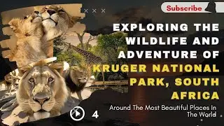 ''Exploring Wildlife and Adventure in South Africa's Kruger National Park''😍😱🌎