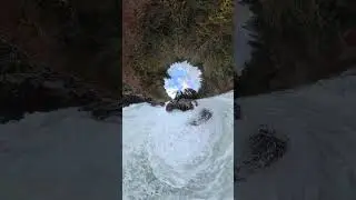 Rushing Water Moulton Falls Regional Park WA  #waterfall  #washingtonstate #insta360 #insta360x5