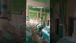 #Wheat to Flour Process #Flour Mill Pakistan #Shorts #Wheat