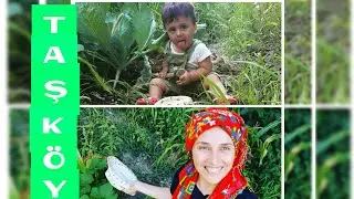 Simav/Taşköy/Köyde bahçelerimizi gezdik/Doğal hayat/vlog/Ayaz Emir'in köy maceraları