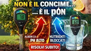 NON &egrave; il concime &mdash; &egrave; il pH