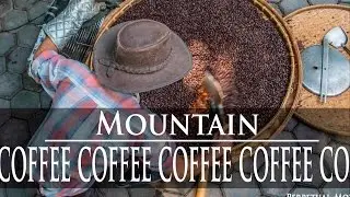 Getting Roasted in Thailand | Mountain Coffee | Chiang Mai