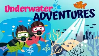 Can You Guess These Incredible Underwater Wonders? 🌊✨ Find Out Now!