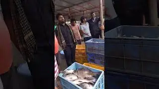 rainy market akividu #fishing #food #trending #trendingshorts #export #explore #ytshorts #india #sai