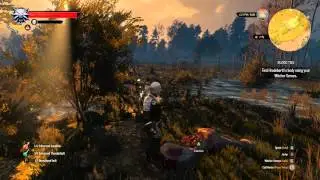 The Witcher 3 Wild Hunt - Blood Ties Quest