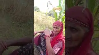 #localtradition #viralvideo #followers #trending