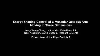 Energy Shaping Control of a Muscular Octopus Arm Moving in Three Dimensions