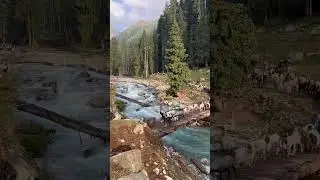 Beautiful Swat #swat #adventure #cute