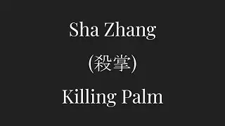 6. Sha Zhang (殺掌) - Killing Palm - Rattan Ring (Zhu Huan) Basics