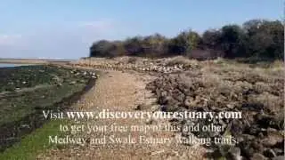 Discover Your Estuary Walking Trail 2; St Mary's Church, Gillingham, to Riverside Country Park
