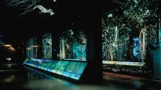 🌴 my utopian scholastic track — “Eden Thesis” 🌱 (Rainforest Museum 🌺 1990s Nostalgia)