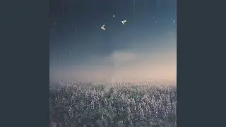 Waving the Ghost