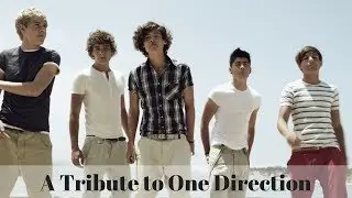 Best Of One Direction || Top 10 Best selling songs||