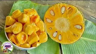 A Giant Tropical Fruit Packed with Incredible Health Benefits- Vegetable Lenses