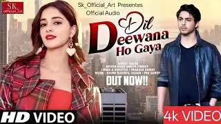 Dil Diwana Ho Gaya | 🥀 90s Bollywood Romantic Hindi Hindi song  | 💖 Hindi song 2026