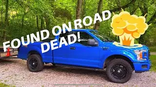 The 10 speed left us stranded bringing another mustang home!! ⚠️FOUND ON ROAD DEAD! ⚠️