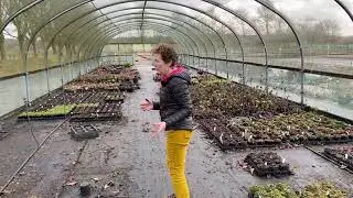 Production Nursery Tour February 2021 | Part 2