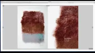 Kim Kluge TRUE COLORS - Publikation