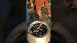 Old traditional fishing technique in village