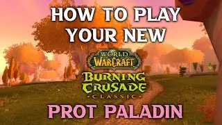 How to Play Your New Prot Paladin Tank