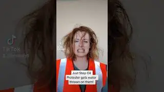 Just Stop Oil Protester Gets Water Thrown On Them! #satire #comedy #parody #Juststopoil #woke