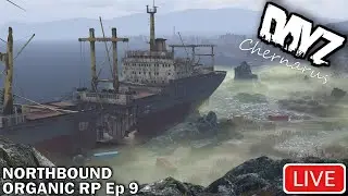 DayZ LIVE 1440 | Fresh on Chernarus Northbound Organic RP w/ Milton