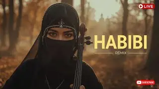 🔥 LIVE Silk Road Mix &ndash; Samarkand Arabic Deep House | Central Asia Night