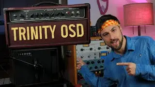 Building the Legendary Dumble #124 (Trinity OSD Amp Build & Demo)