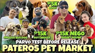 SOLID ANG MGA PETS SA PATEROS | PATEROS PET MARKET UPDATE | JUNE 22, 2024