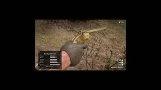 Otis Miller's Revolver as Arthur in Cholla Springs #rdr2 #arthurmorgan #reddeadredemption
